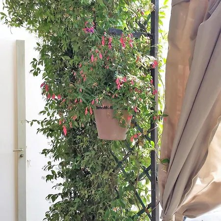Brand New In The Center Hotel Cannes